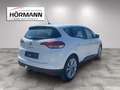 Renault Scenic Scenic Intens Energy dCi 110 Weiß - thumbnail 5