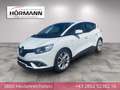 Renault Scenic Scenic Intens Energy dCi 110 Weiß - thumbnail 1