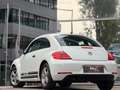 Volkswagen Beetle Basis BMT Weiß - thumbnail 5