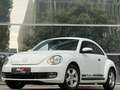 Volkswagen Beetle Basis BMT Weiß - thumbnail 3