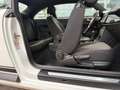Volkswagen Beetle Basis BMT Weiß - thumbnail 14