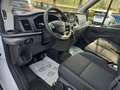 Ford Transit Kasten 2,0 EcoBlue L3H2 350 Trend Weiß - thumbnail 17