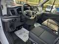 Ford Transit Kasten 2,0 EcoBlue L3H2 350 Trend Weiß - thumbnail 18
