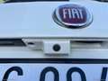 Fiat Tipo 1.6 Mjt S&S SW Business - 2021 Bianco - thumbnail 25