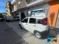Fiat Panda 1.2 Pop Van 2 posti Neo patentati Bianco - thumbnail 6