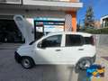 Fiat Panda 1.2 Pop Van 2 posti Neo patentati Bianco - thumbnail 4
