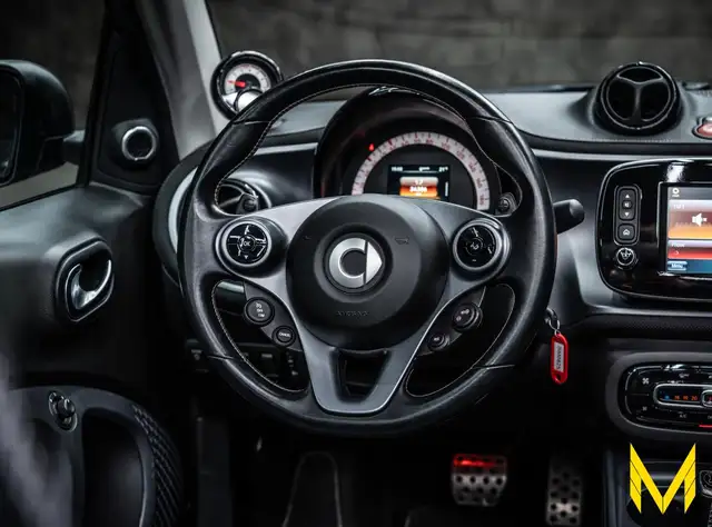 Smart Fortwo view 15