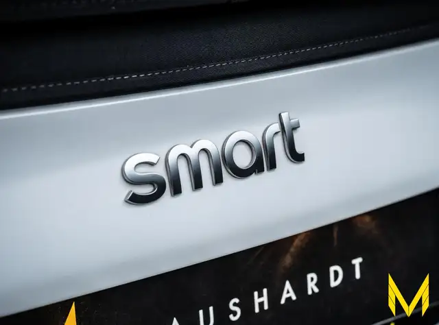 Smart Fortwo view 11