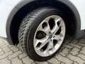Ford Kuga 2.0 TDCI TIT. 140CV 4x4 FULLOPTIONAL TAGLIANDATA Blanc - thumbnail 6