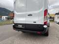 Ford Transit Kasten 2.0 EcoBlue L3H2 350 Trend Navi/Kamera/S... Weiß - thumbnail 35