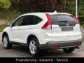Honda CR-V Lifestyle 4WD/AUTOMATIK/1 HAND/XENON/AHK/SH Weiß - thumbnail 5