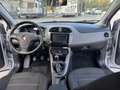 Fiat Bravo 1.6 mjt Easy 120cv - thumbnail 5