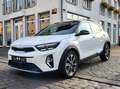 Kia Stonic 1.0 Platinum Edition 1.HAND LED KLIMA NAVI Weiß - thumbnail 1