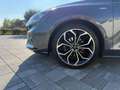 Ford Focus 1.5 EcoBlue 120 CV 5p. ST-Line Grigio - thumbnail 5