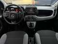 Fiat Panda 1.0 Hybrid City Life | Navigatie via Carplay | 3 Z Grau - thumbnail 12