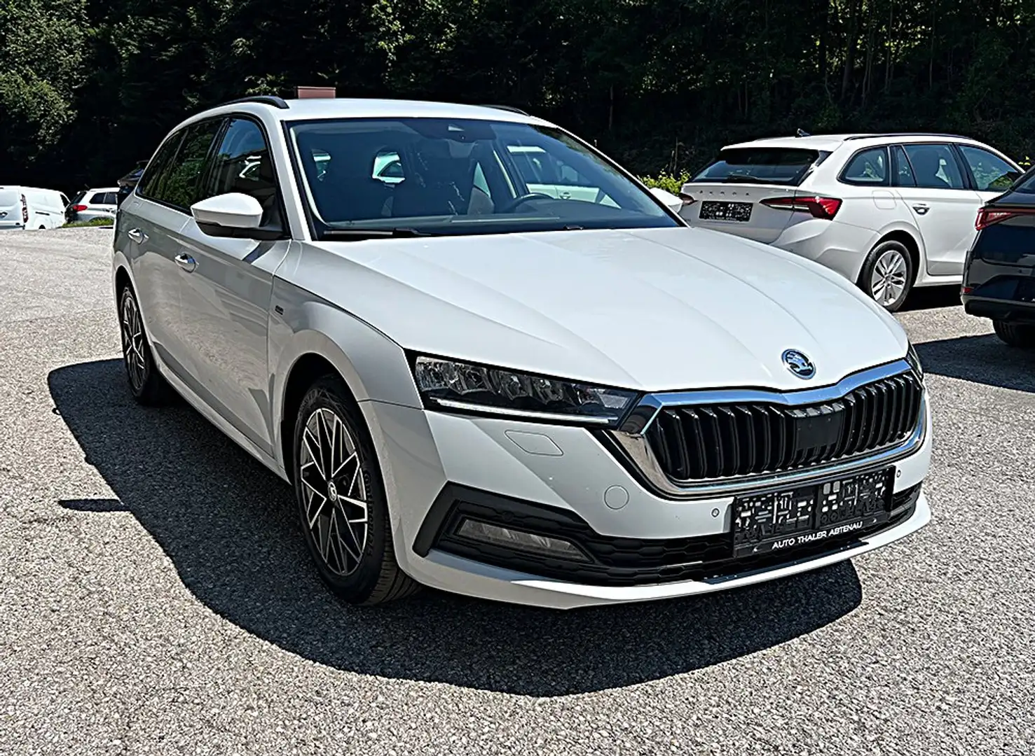 Skoda Octavia Combi 2,0 TDI 4x4 Ambition DSG Weiß - 2