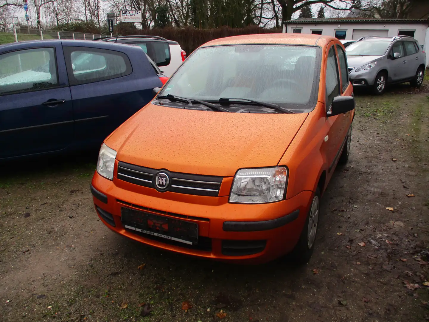 Fiat Panda 1.2 .1Hand, Klima Orange - 2