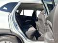 Suzuki S-Cross 1.4 HYBRID ALLGRIP shine Weiß - thumbnail 19