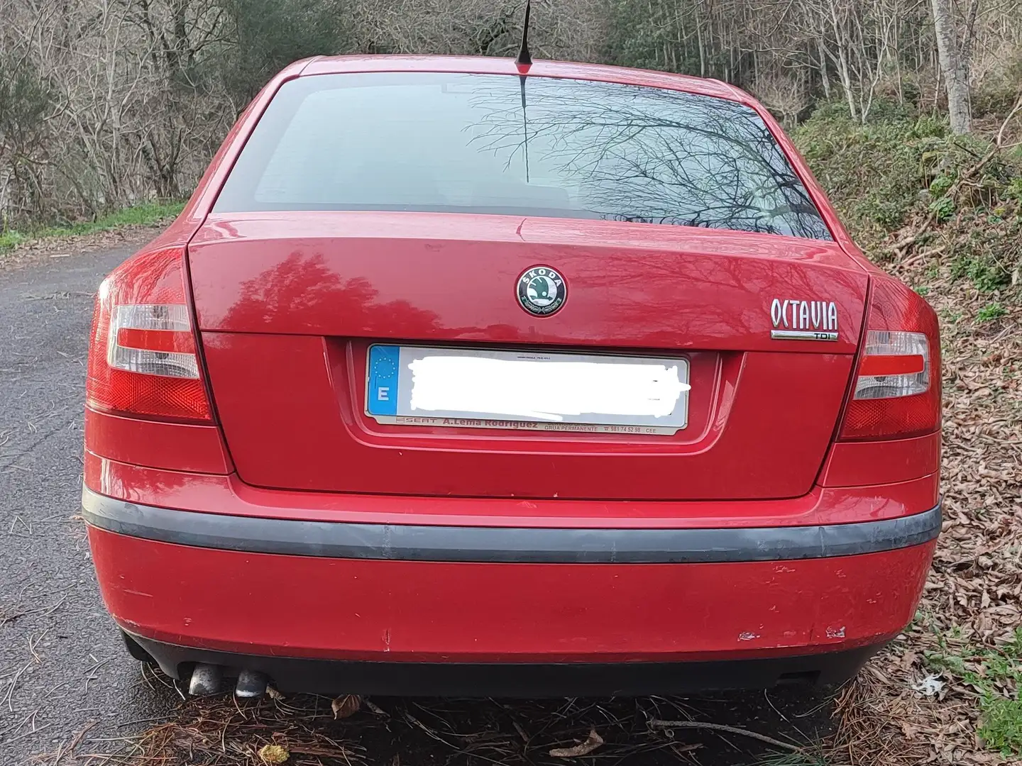 Skoda Octavia 1.9TDI Trend 105 Rojo - 2