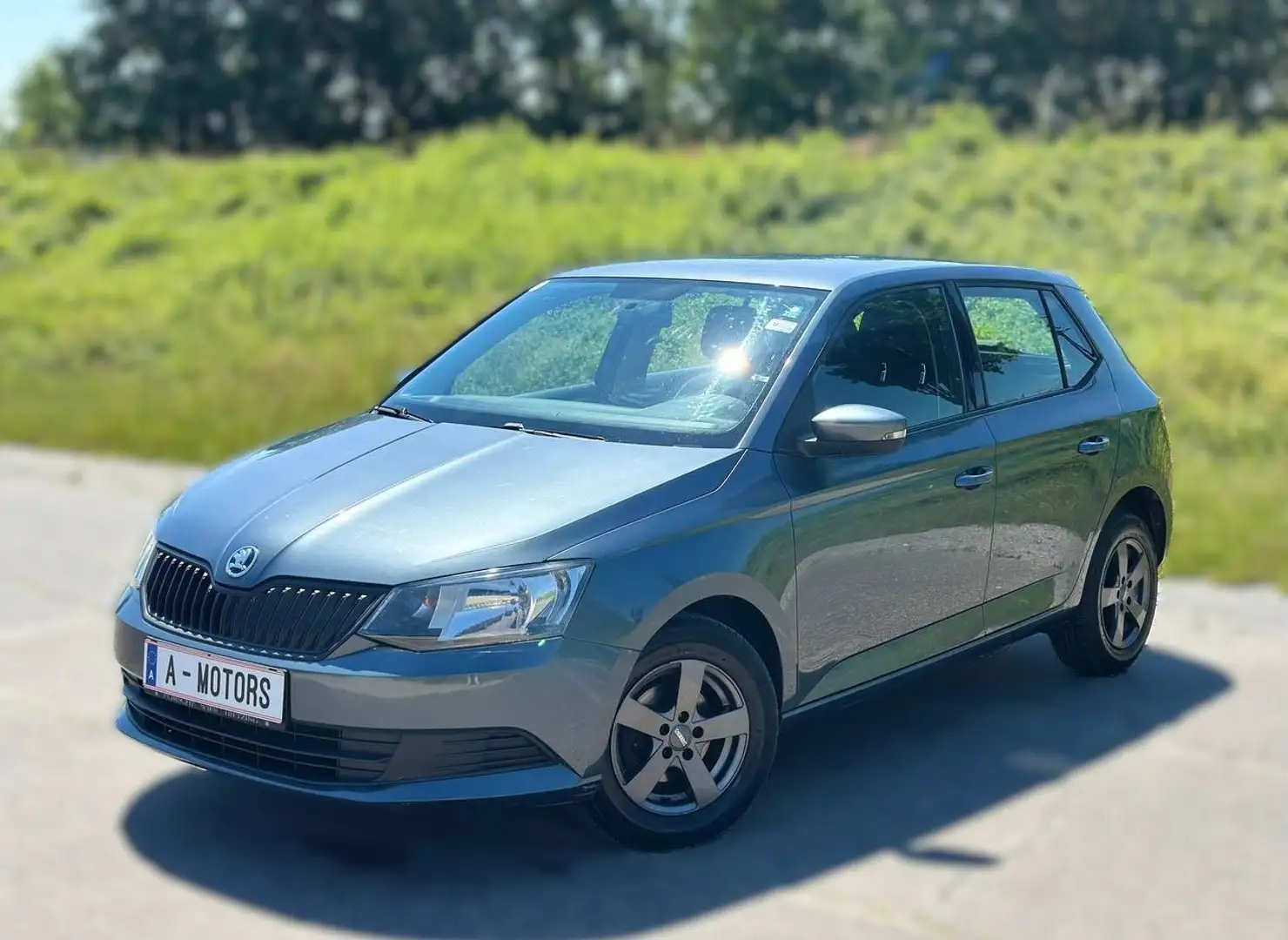 Skoda Fabia Grau - 2