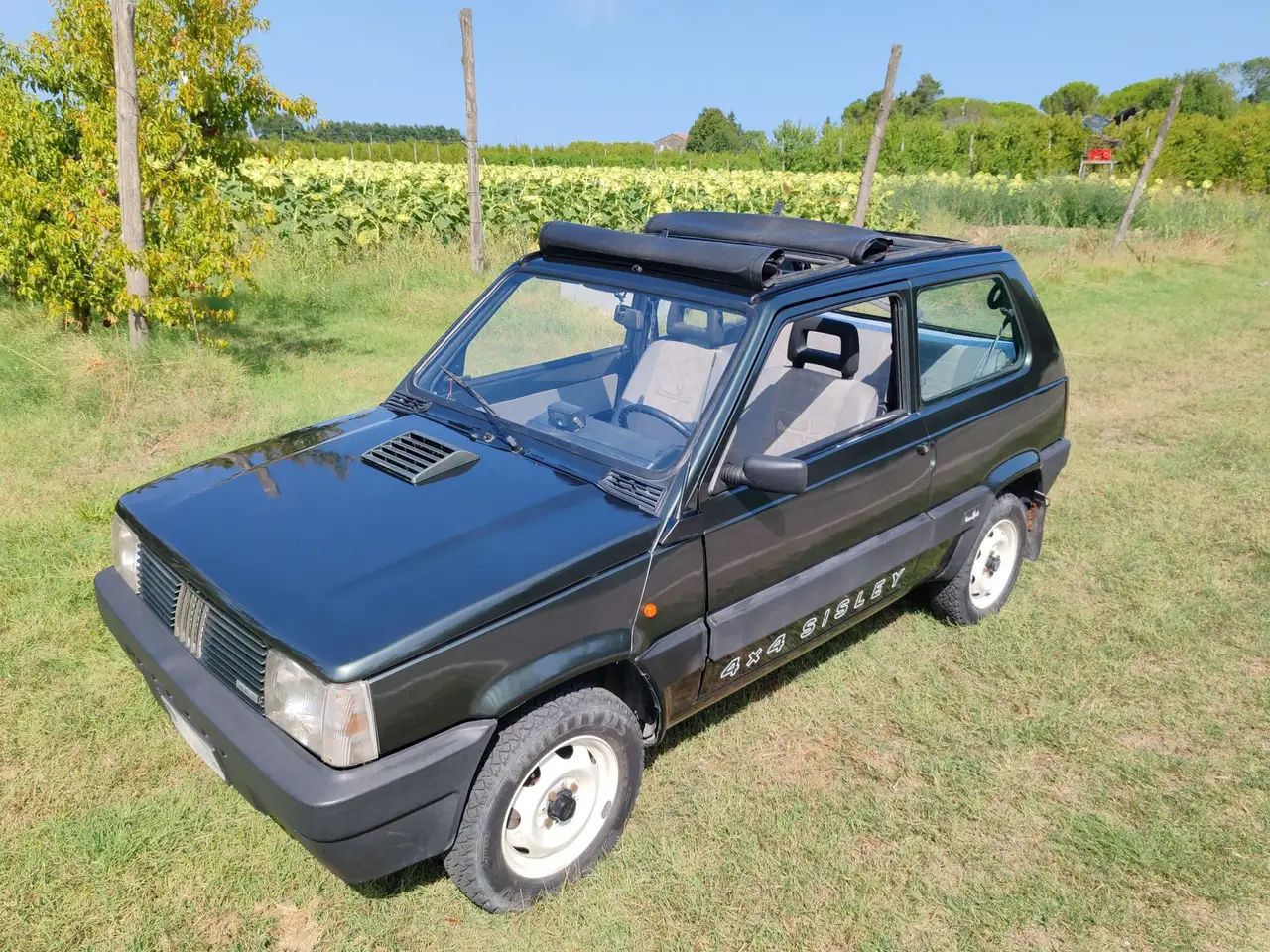 Fiat Panda 1.0 Sisley 4x4, foto 1