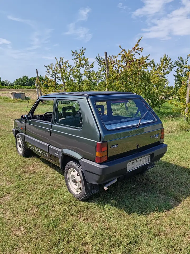 Fiat Panda 1.0 Sisley 4x4, foto 8