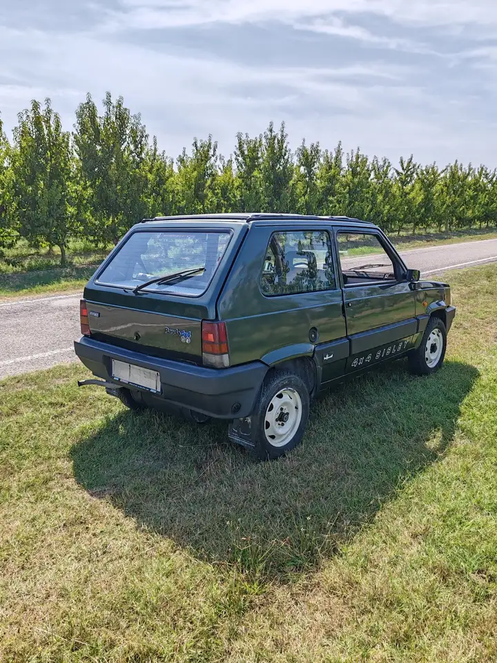 Fiat Panda 1.0 Sisley 4x4, foto 6