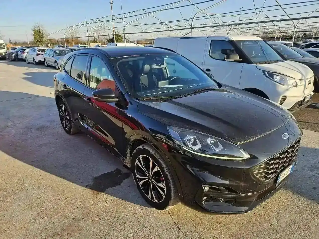 2020 Ford Kuga Kuga 2.0 ecoblue ST-Line X awd 190cv auto-GD646BF, photograph 6