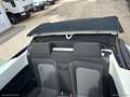 Volkswagen New Beetle 1.9 TDI 105CV Cabrio CABRIO Weiß - thumbnail 14