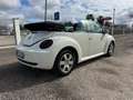 Volkswagen New Beetle 1.9 TDI 105CV Cabrio CABRIO Weiß - thumbnail 4