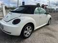 Volkswagen New Beetle 1.9 TDI 105CV Cabrio CABRIO Weiß - thumbnail 8