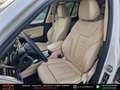 BMW X3 xdrive 20d Luxury 190cv auto Bianco - thumbnail 6