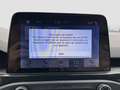 Ford Focus 1.0 EcoBoost ST Line Business Stoelverwarming | Ca Gris - thumbnail 20