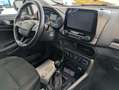 Ford EcoSport 1.0 EcoBoost Cool & Connect, AHK, Garantie Alb - thumbnail 14