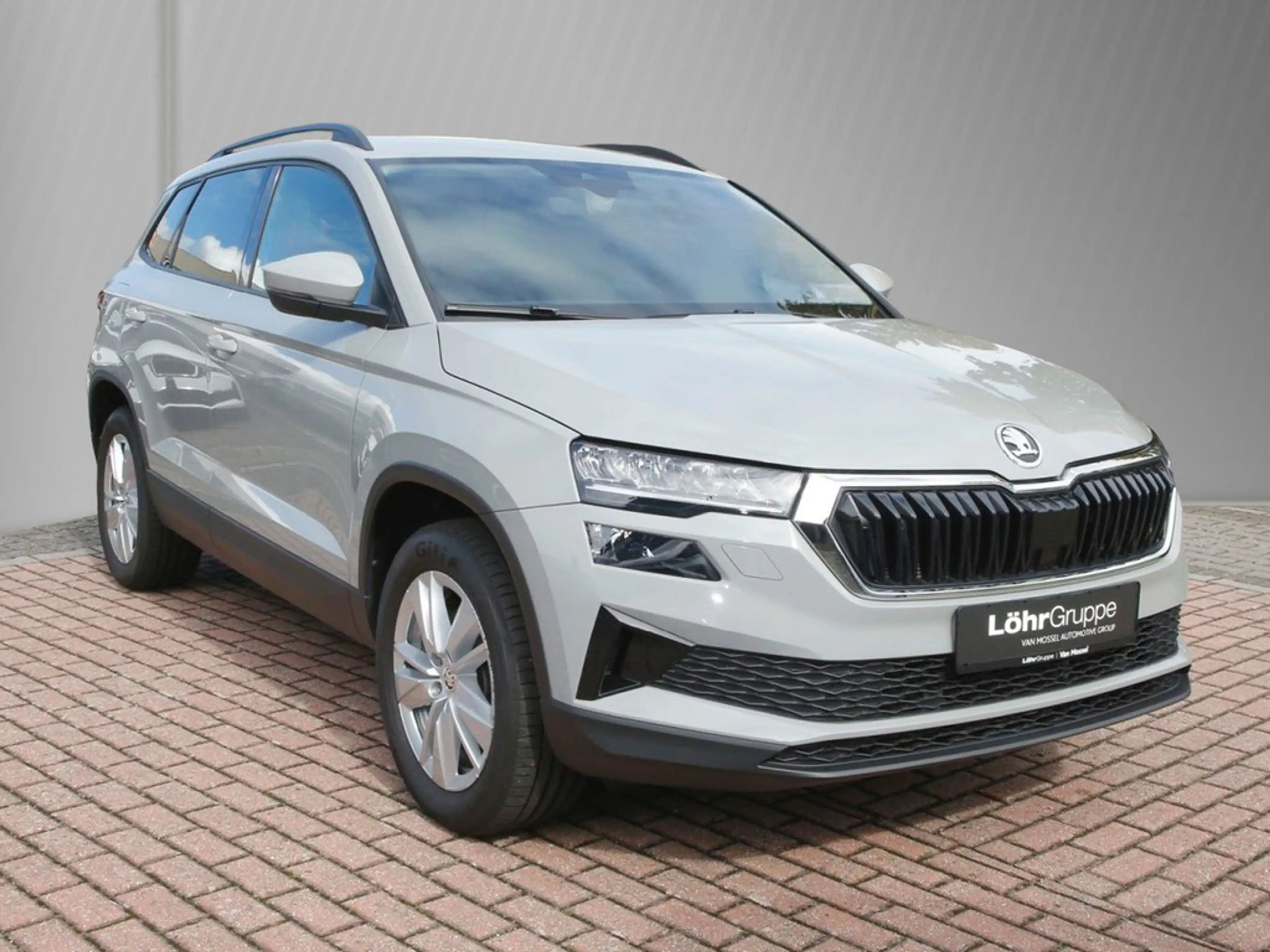 Skoda Karoq 2.0 TDI DSG Drive 4x4 17" ACC Navi SHZ LED — photo 3
