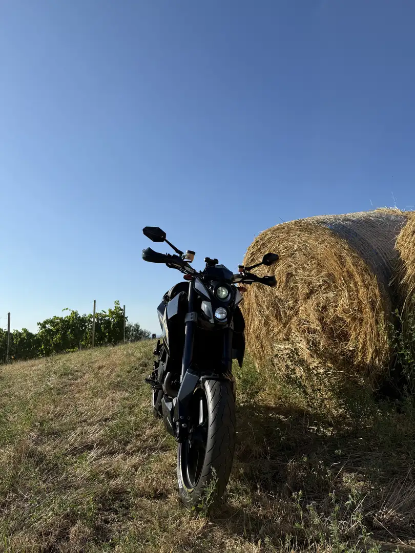 KTM 690 Duke - 1