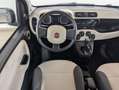 Fiat Panda Lounge**2.HAND+KLIMA+15"LMF+TAGFAHRLICHT** Violett - thumbnail 11