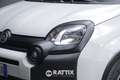 Fiat Panda 1.0 Firefly Hybrid 70CV Cross 5p.ti Bianco - thumbnail 3