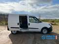 Fiat Doblo Cargo Blanco - thumbnail 5