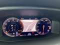 CUPRA Formentor VZ 2.0 TSI 4Drive DSG Panorama Leder S Silber - thumbnail 14