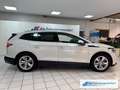Skoda Enyaq 80 Loft Navi Digitales Cockpit Memory Sitze LED Ku Blanco - thumbnail 6