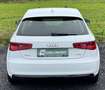 Audi A3 1.4TFSI S line - Airco - Bluetooth - Sg chauffants Bianco - thumbnail 5
