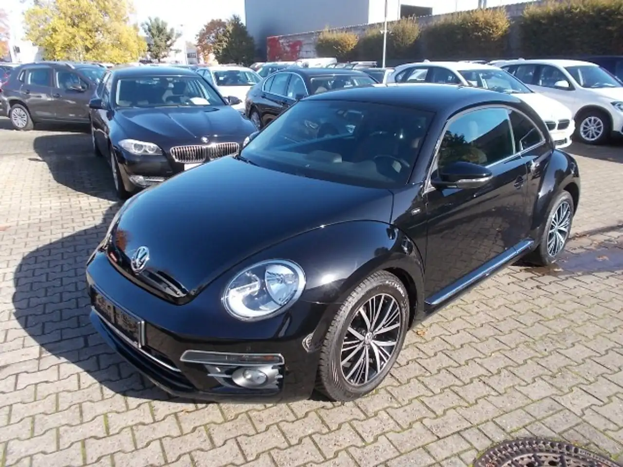 Volkswagen Beetle