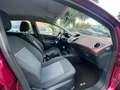 Ford Fiesta 1.2 60CV 5p. Tit. Mauve - thumbnail 9