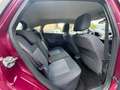 Ford Fiesta 1.2 60CV 5p. Tit. Mauve - thumbnail 14