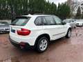BMW X5 II 3.0d 235ch xdrive Steptronic White - thumbnail 4