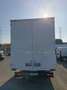 Iveco Daily 35S12 2.3 CASSONATO 54000!!! Euro 6 2022 Bianco - thumbnail 5