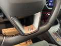 SEAT Ibiza 1.0 TSI FR Line ab ca. 134€ monatlich Grau - thumbnail 24
