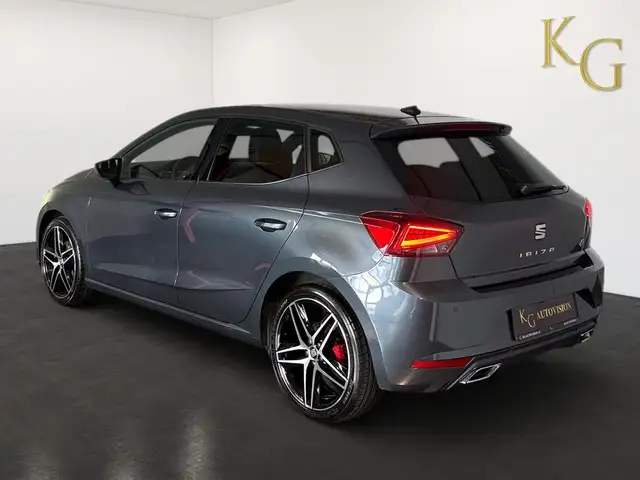 Seat Ibiza view 5