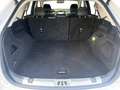 Ford Edge 2.0 TDCI 154kW Vignale 4WD Auto Blanco - thumbnail 16
